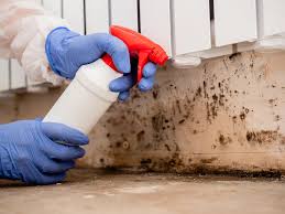 Biohazard Mold Removal in Finley, WA